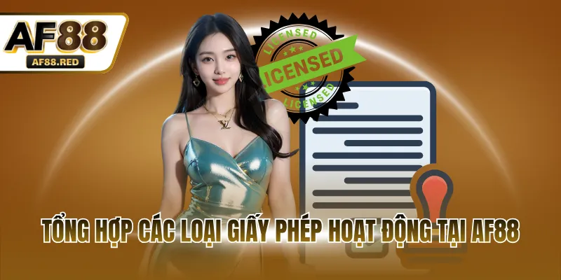 Tổng hợp các loại giấy phép hoạt động tại AF8